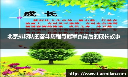 北京排球队的奋斗历程与冠军赛背后的成长故事